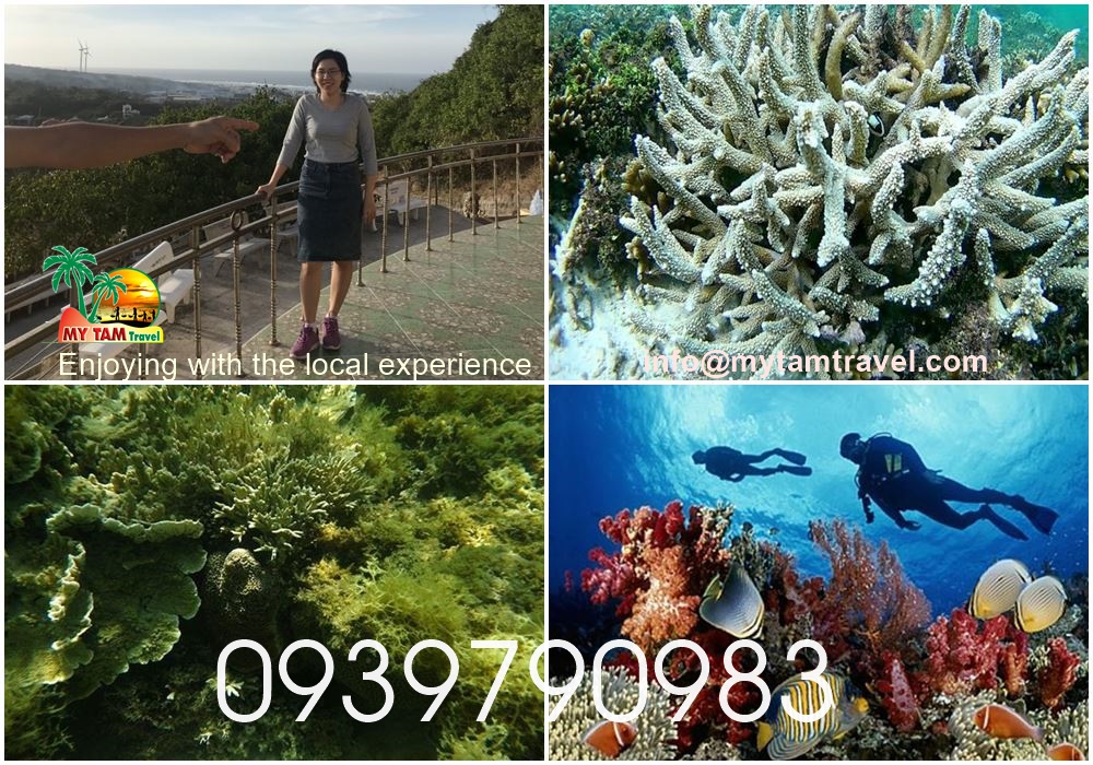 tour-phu-quy_45.jpg (382 KB)